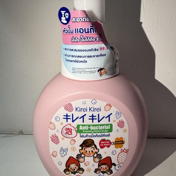Anti - Bacterial Foaming Hand Soap